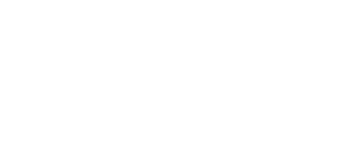 Line drawing of Minnie Breslauer Shipwreck in Bermuda